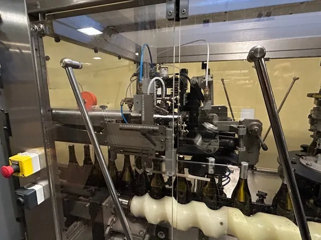 Capsulatrice Usata Robino&Galandrino Astra F6