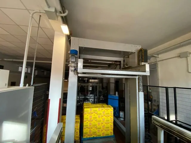 Palletizzatore Ape Pal 2000 Usato
