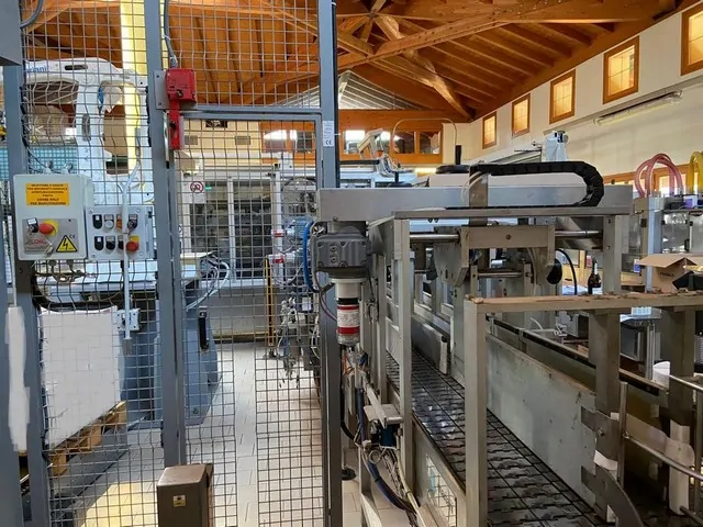Palletizzatore Mariani Robot Abb Irb 460-110 Usato